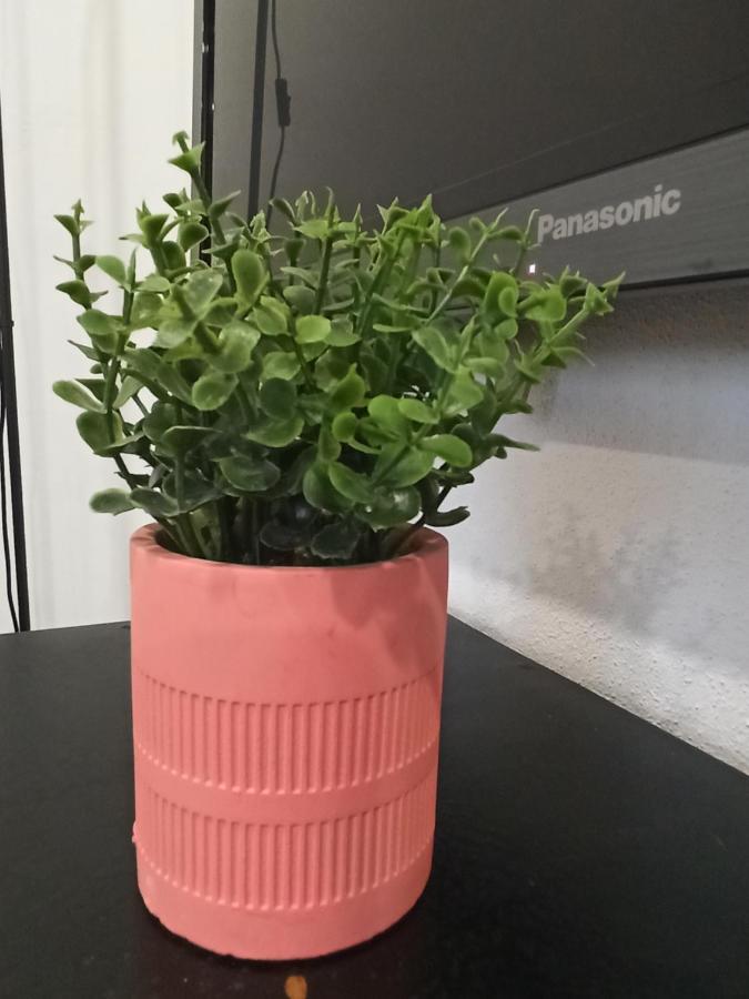 Apartmán Al Rosa Esperanca Angra do Heroísmo Exteriér fotografie